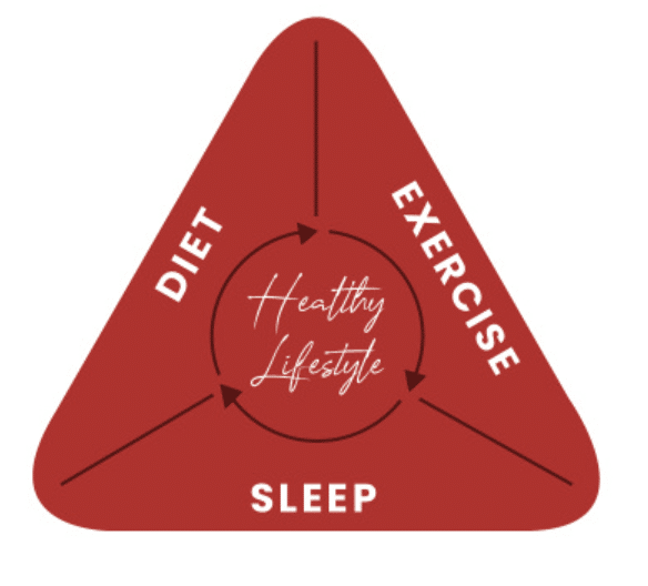 Healthy Lifestyle Triangle