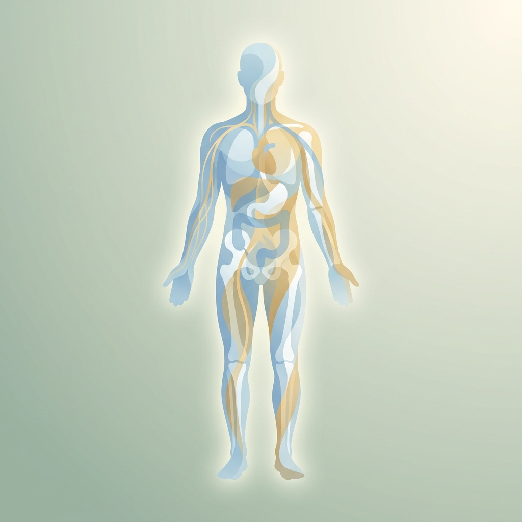 Stylized illustration showing layered body composition meaning through a glowing human silhouette with distinct internal strata